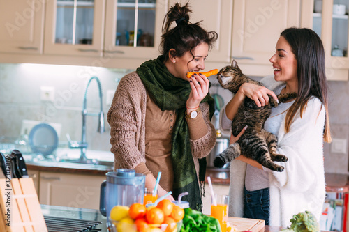 Good humoured female friends playing with pet in kitchen. Relaxed girl holding cat with smile. photo