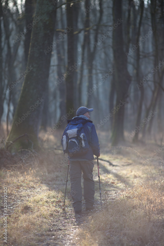 Hiker walking in forest in winter time