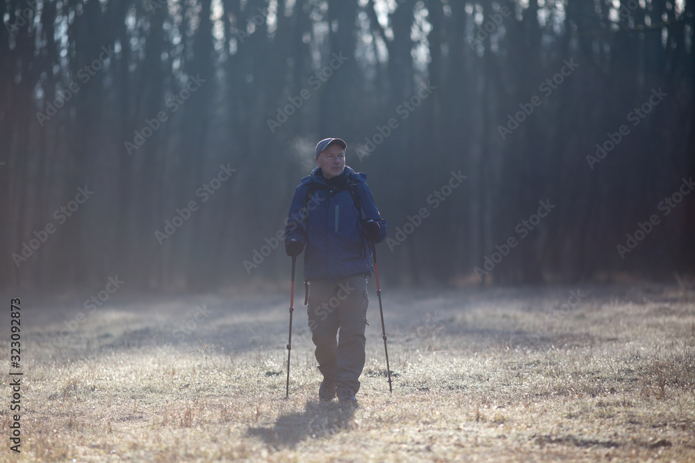 Hiker walking in forest in winter time Hiker walking in forest in winter time