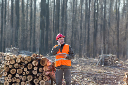 Lumber engineer beside logs in forest