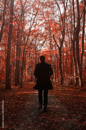 Man silhouette walking in a red forest