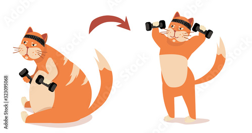 before after Weight loss in sport gym. fitness cat training. strong motivation. isolated vector illustration