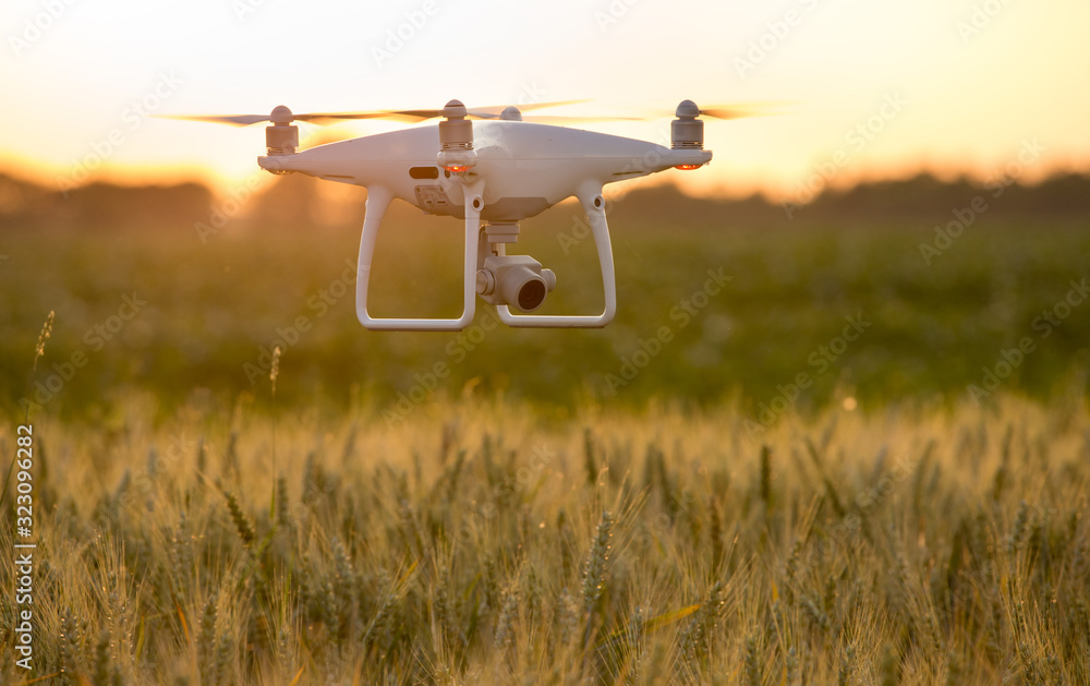 Drone flying above barley field Drone flying above barley field