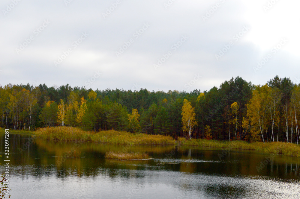Fototapeta premium The shores of the picturesque forest lakes