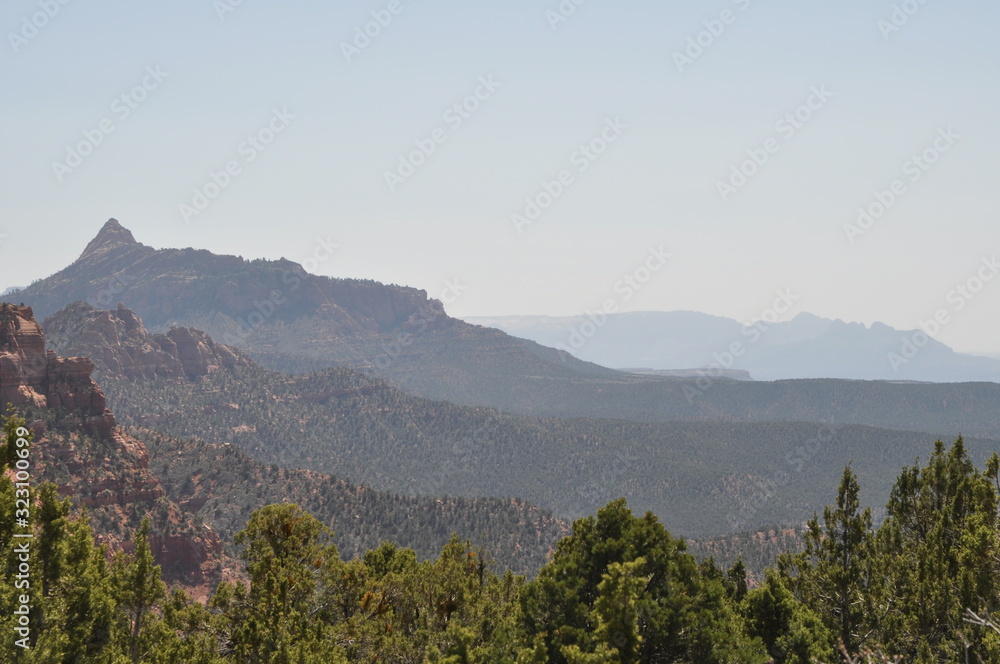 Vista in Zion National Park