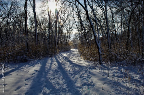 winter landscape with snow © ANDREW