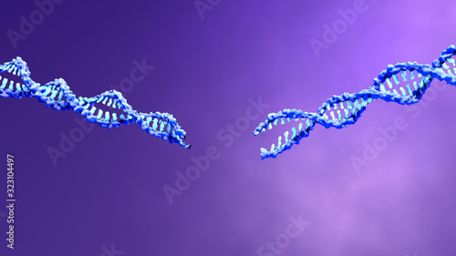 Fototapeta Naklejka Na Ścianę i Meble -  DNA cut by CRISPR-Cas9 proteins recognize and cut foreign pathogenic DNA