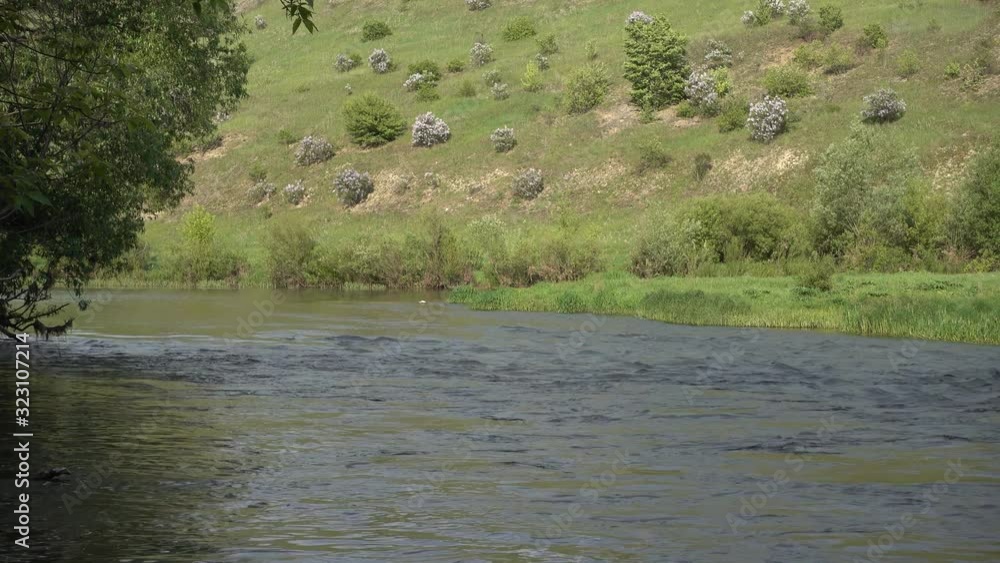 Quick stream on a river at shallow place. River Don headwaters, Russia Quick stream on a river at shallow place. River Don headwaters, Russia