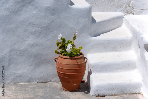 A terracotta vase with flowers set in a courtyard against a whitewashed wall and steps, on  the beautiful Greek island of Koufonissi.  The white wall provides copy space.