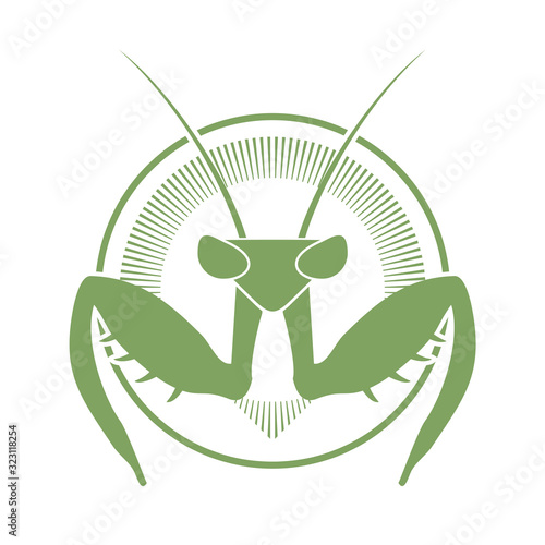 Creative design of mantis icon