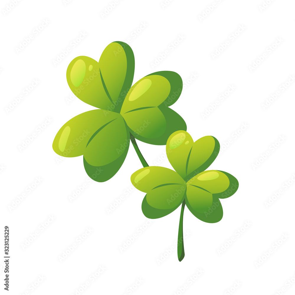 Green shamrock trefoil leaves isolated on white. Green shamrock trefoil leaves isolated on white.