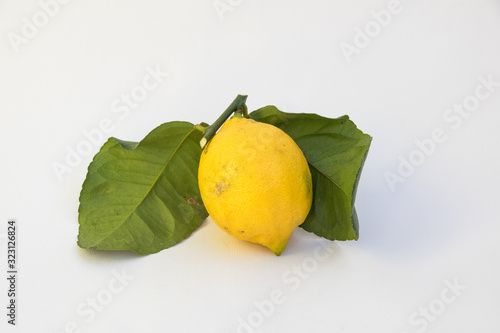 Fresh biological organic lemon with leaves on a withe background