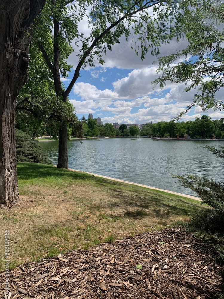 Lago en el parque 