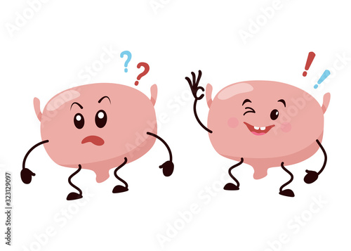 Cartoon character bladder.
