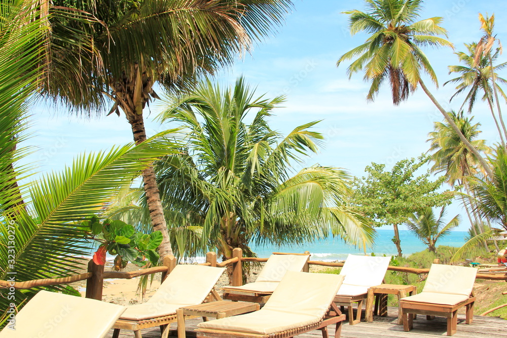 Fototapeta premium Trees and beach side fun