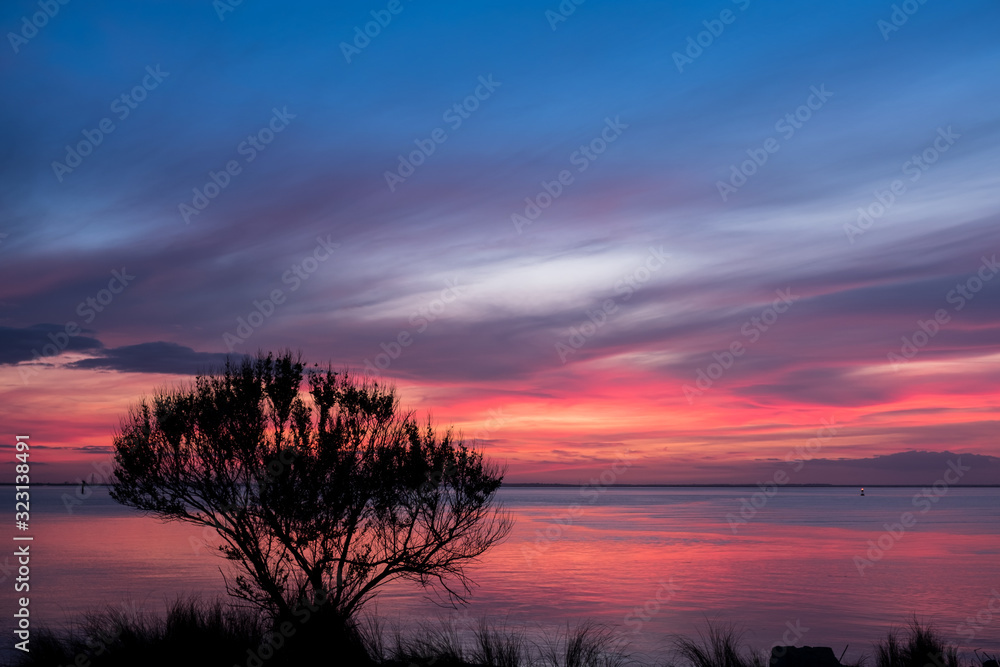 An ocean sunset beyond tree and grass silhouette