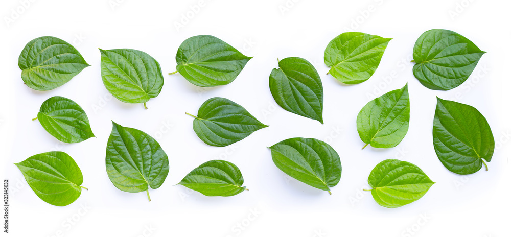 Green betel leaves, Fresh piper betle on white Green betel leaves, Fresh piper betle on white