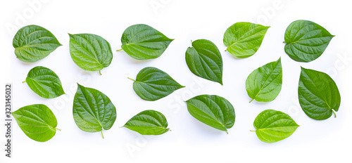 Green betel leaves, Fresh piper betle on white photo