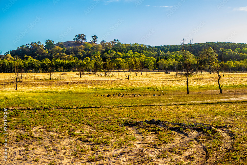 Landscape as a result of low water level from Australian drought