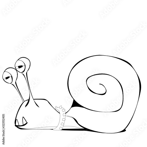 wild slug