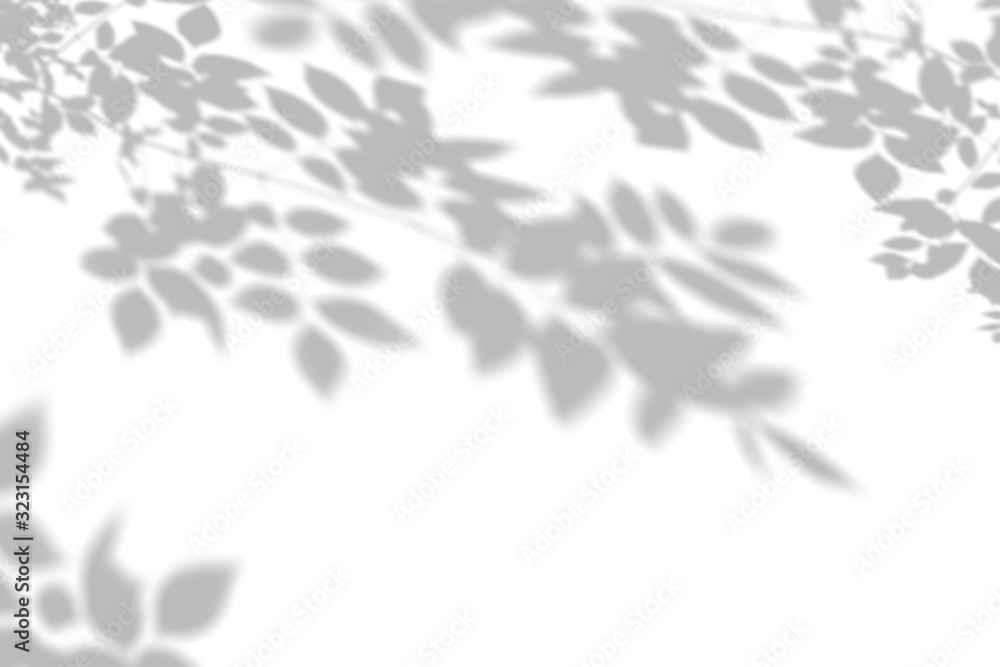 The blurred shadow of the plant on the white wall. Black and white summer background for photo overlay or mockup The blurred shadow of the plant on the white wall. Black and white summer background for photo overlay or mockup