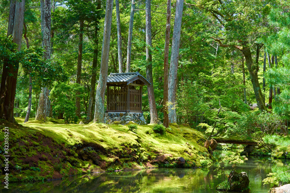 Obraz premium moss temple kyoto, japan