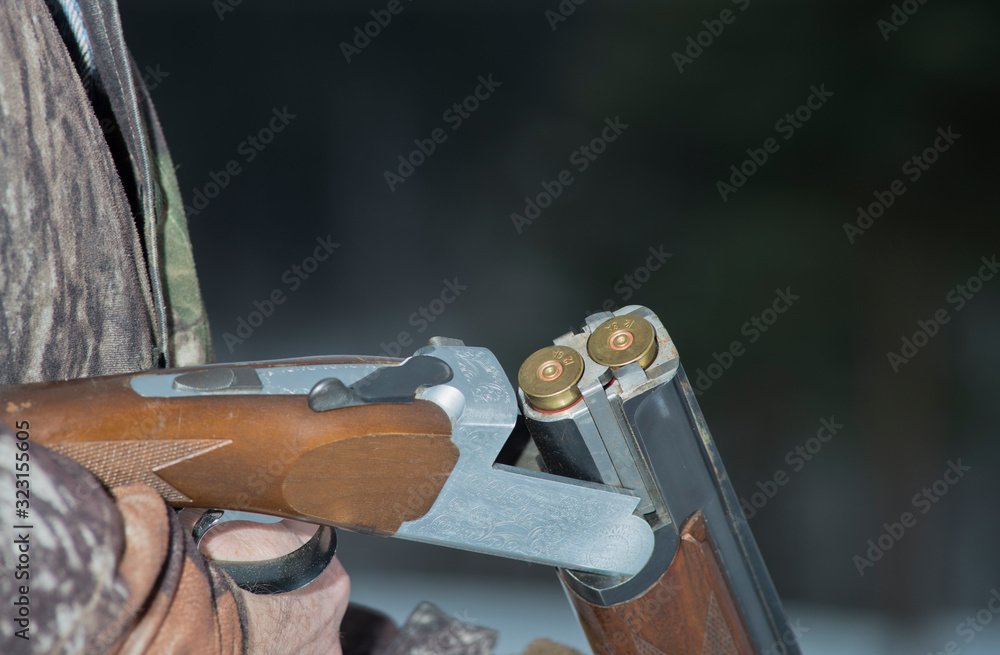Open OverUnder Shotgun with Fired Shells Stock Photo Adobe Stock
