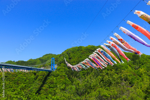竜神峡鯉のぼり祭り（竜神大吊橋　茨城　日本）1000匹の鯉のぼりが優雅に泳ぐ風景