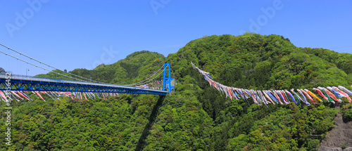 竜神峡鯉のぼり祭り（竜神大吊橋　茨城　日本）1000匹の鯉のぼりが優雅に泳ぐ風景