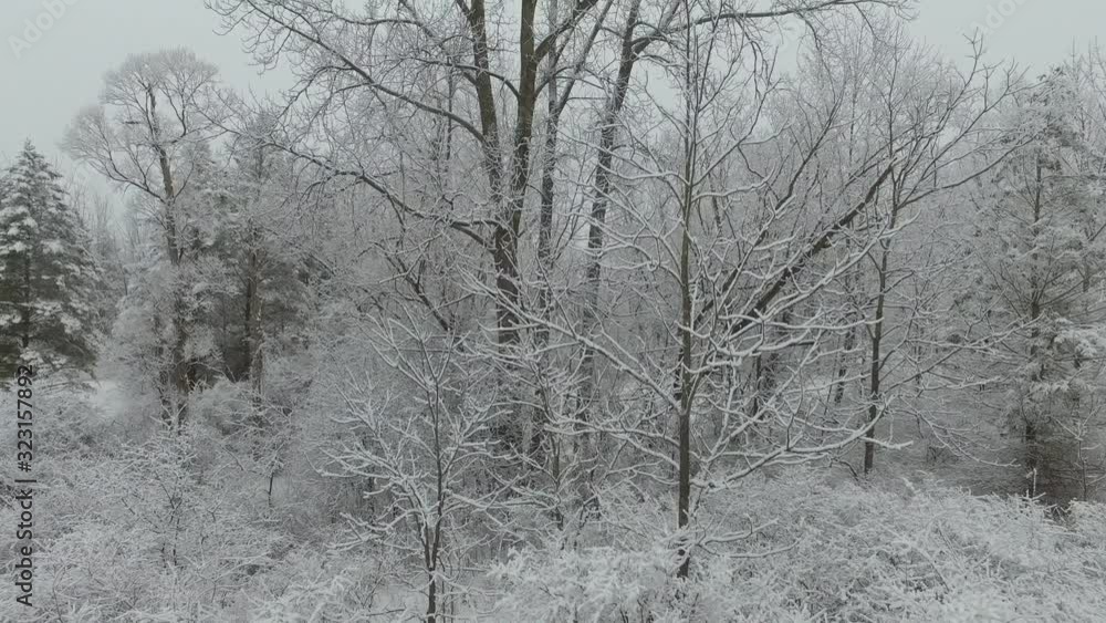 Looking down on forest in winter with snow Looking down on forest in winter with snow