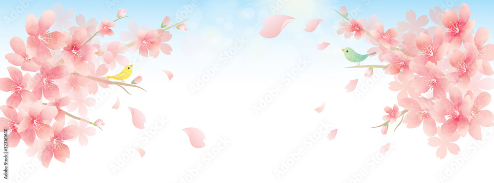 春の花　桜ベクターイラスト　Elegant Spring Flowers Vector Background