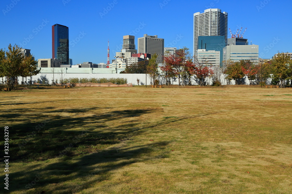芝浦の中央公園とオフィスビル群 芝浦の中央公園とオフィスビル群