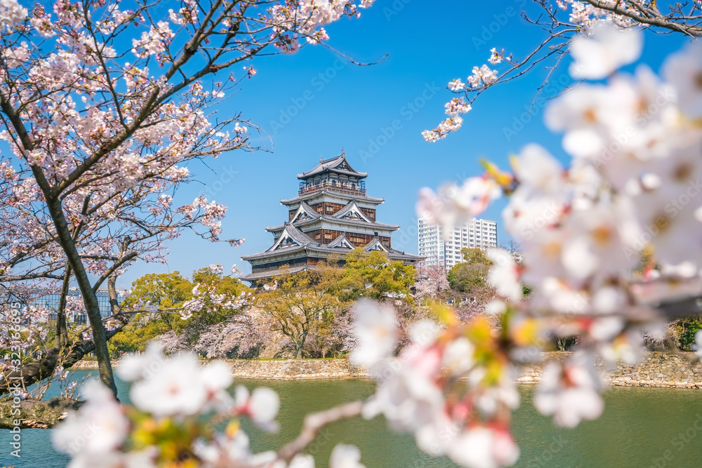 Hiroshima, at Hiroshima Castle with full bloom of Sakura Hiroshima, at Hiroshima Castle with full bloom of Sakura