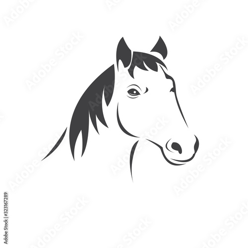 Fototapeta Naklejka Na Ścianę i Meble -  Vector head of horse black. Mammals. logo. icon. symbol. design. on white background