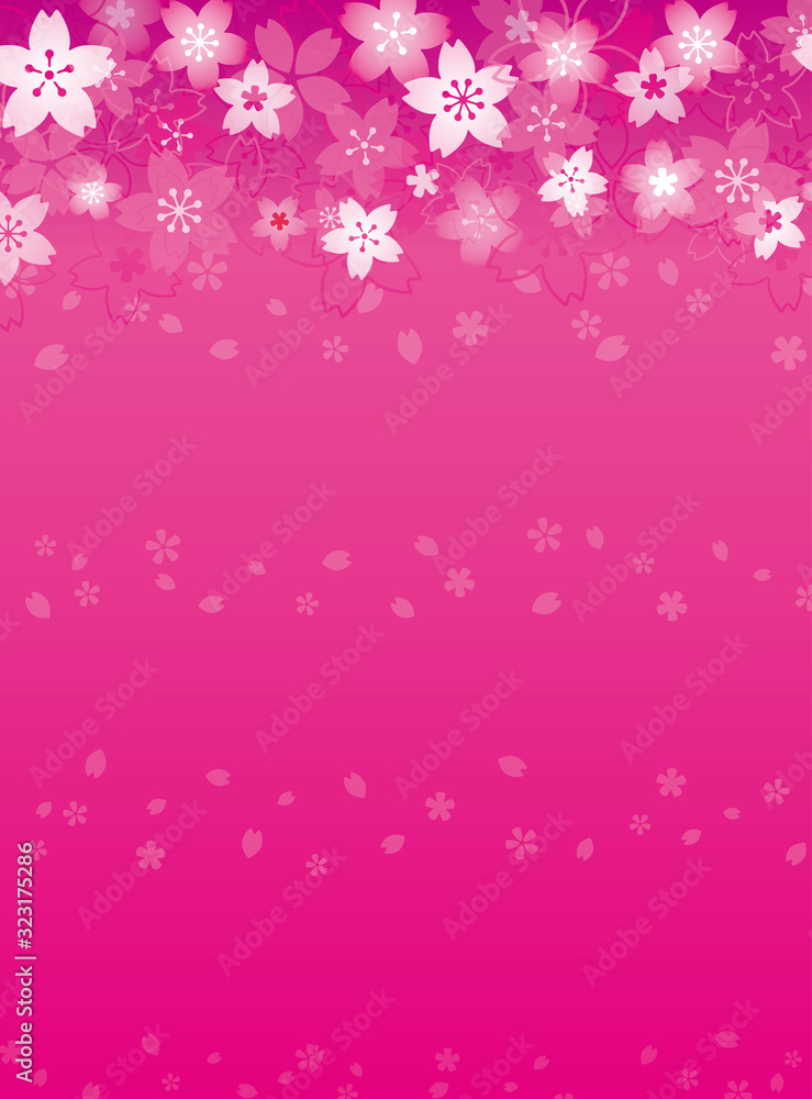 ピンクの桜 背景、便箋、手紙