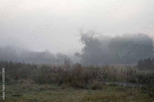 The village on an early foggy morning, a beautiful landscape of the countryside at dawn.