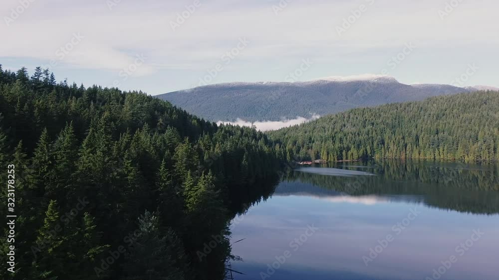 Fly close to pine trees and calm morning lake Fly close to pine trees and calm morning lake