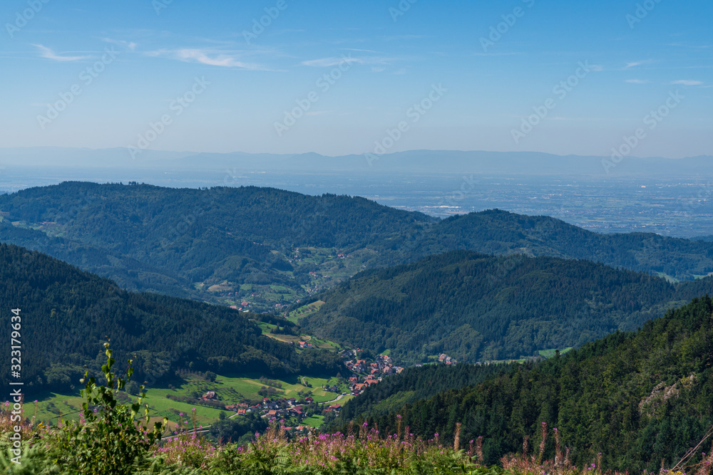 View over the landscape of the northern Black Forest near Seebach and Ruhestein, Baden-Wuerttemberg, Germany
