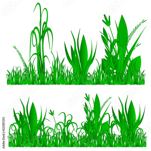 Vector illustration of grass, natural grass elements isolated white background for templates..