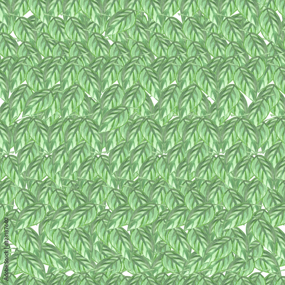 Naklejka premium pattern green seamless bushy leaves watercolor