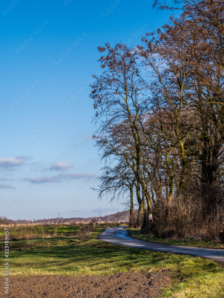 landscape with trees and blue sky landscape with trees and blue sky