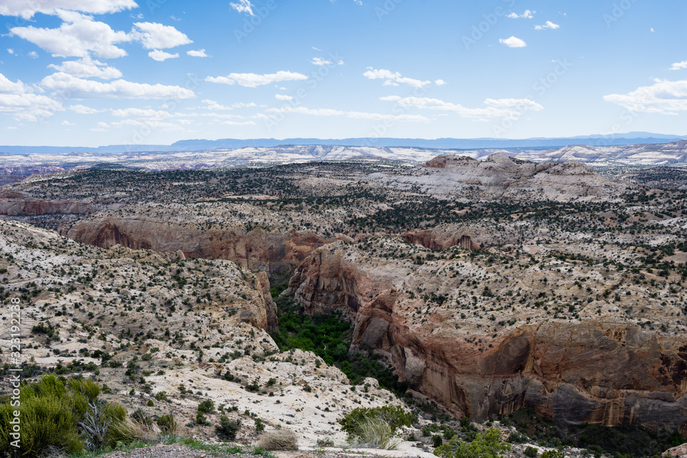 Naklejka premium View of the Calf Creek Canyon from the Calf Creek Viewpoint along highway 12 - Grand Staircase - Escalante National Monument in Utah, USA