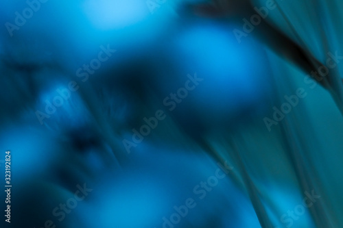 Beautiful blurry stalks of blue flower on dark background. Indigo flower at night. Blurred abstract wallpaper.