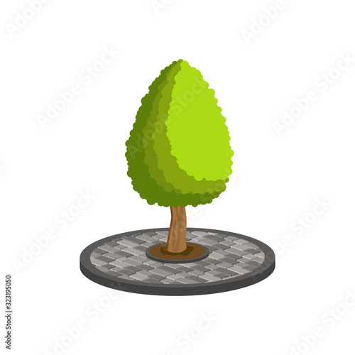 Design of paving slabs in the form of a circle with a tree in the center.Vector isometric and 3D view.	