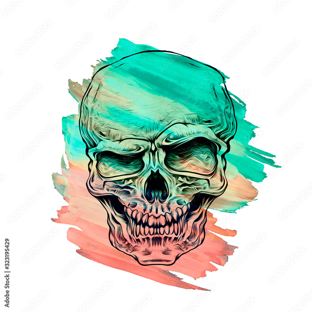 illustration of a skull illustration of a skull
