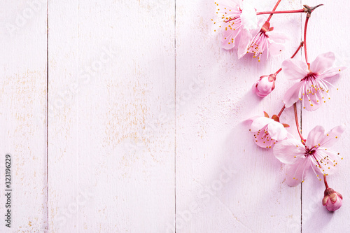 Flowers of Sakura on light pink shabby wooden board. Top view.