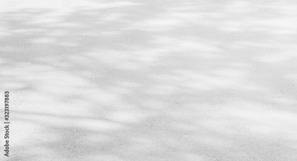 Abstract Shadows, blurred background of gray leaves and natural trees that reflect concrete walls, fallen branches on white wall surfaces for blurred backgrounds and black and white wallpapers. Abstract Shadows, blurred background of gray leaves and natural trees that reflect concrete walls, fallen branches on white wall surfaces for blurred backgrounds and black and white wallpapers.
