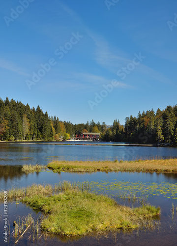 am Grossen Arbersee im Bayerischen Wald,Niederbayern,Deutschland © travelpeter