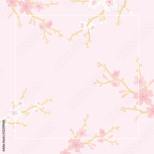 Vector cherry blossoms background illustration