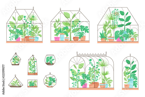Glasshouses And Terrariums With Plants